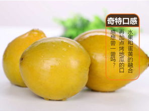海南雞蛋果（蛋黃果） 應(yīng)季熱帶珍果，孕婦營(yíng)養(yǎng)佳選