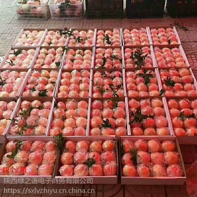 陜西臨潼石榴 紅心軟籽，新鮮直達的美味與商機